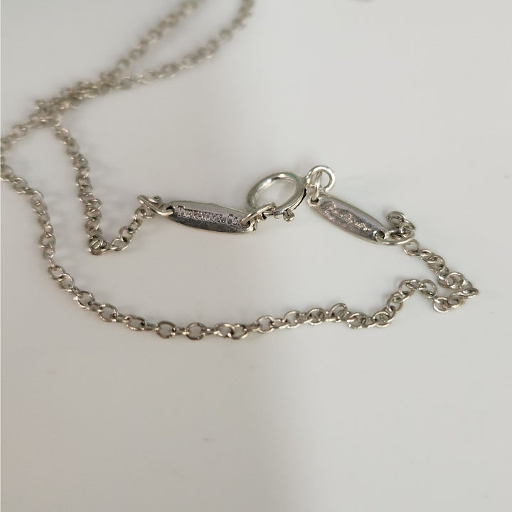 Tiffany & Co. Elsa Peretti Apple Necklace Sterling Silver 925 Pendant Box Pouch