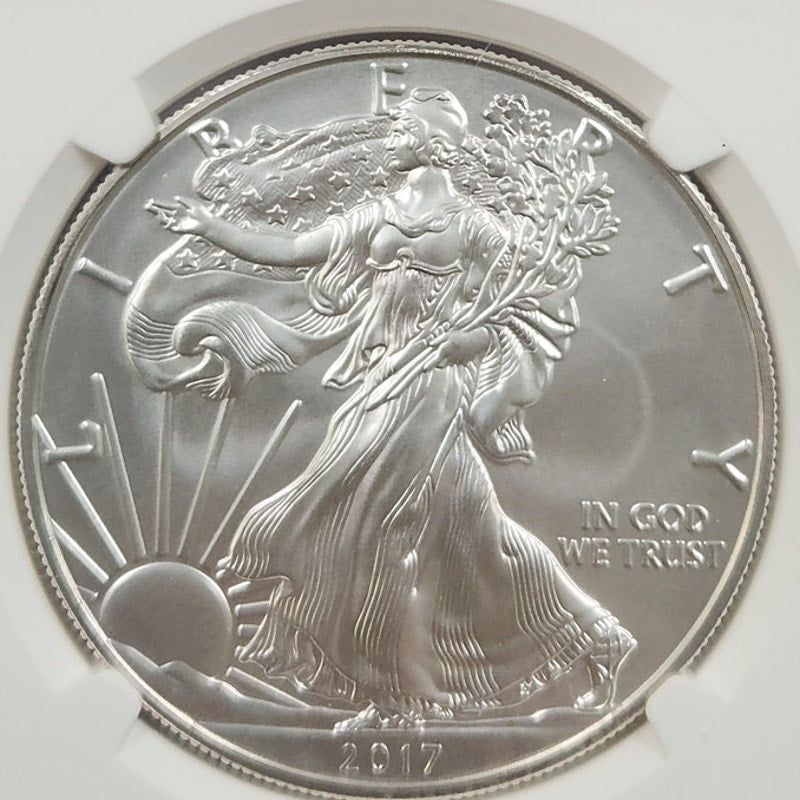 2017 W NGC MS70 Burnished Silver Eagle Premier Select Series 1 Oz .999 Silver