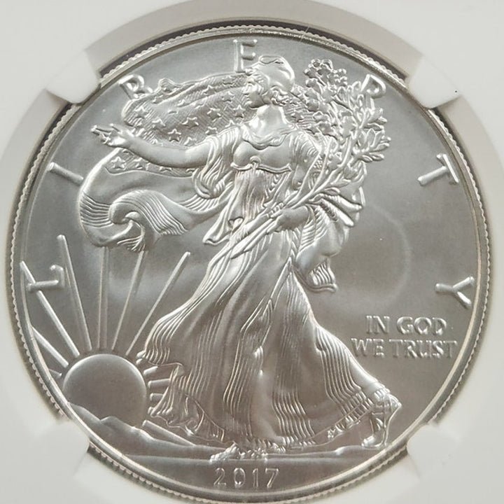 2017 W NGC MS70 Burnished Silver Eagle Premier Select Series 1 Oz .999 Silver