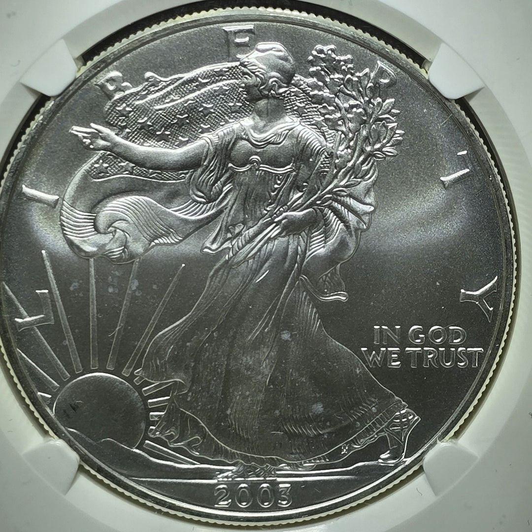 2003 American Silver Eagle, 1 Oz Fine .999 Silver USA Uncirculated $1 NGC MS69