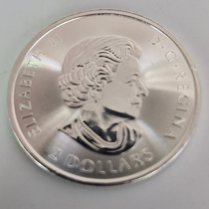 2018 Canada 1/2 oz Silver Polar Bear Coin ($2 CAD)